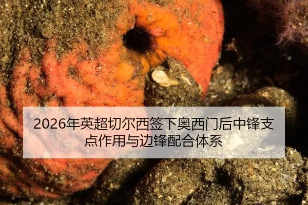 nian-ying-chao-qie-er-xi-qian-xia-ao-xi-men-hou-zhong-feng-zhi-dian-zuo-yong-yu-bian-feng-pei-he-ti-xi-2-875.jpg